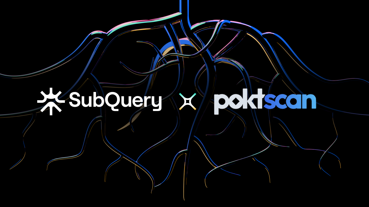 SubQuery Speeds Up Data Retrieval for POKTscan with Fast & Flexible Indexer